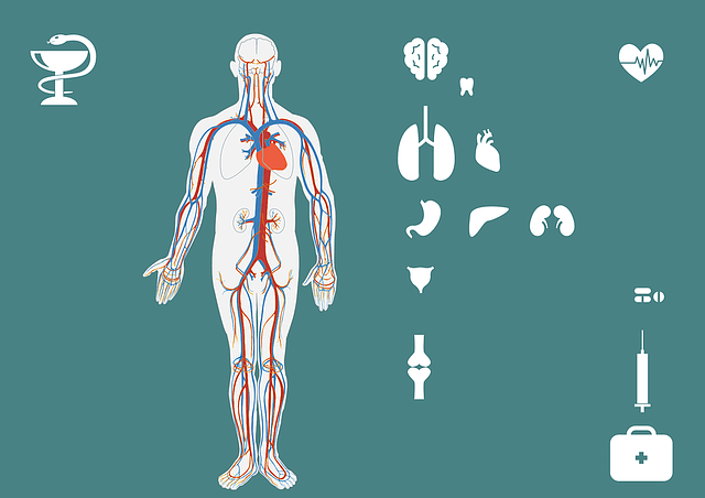 medical-1250589_640-min