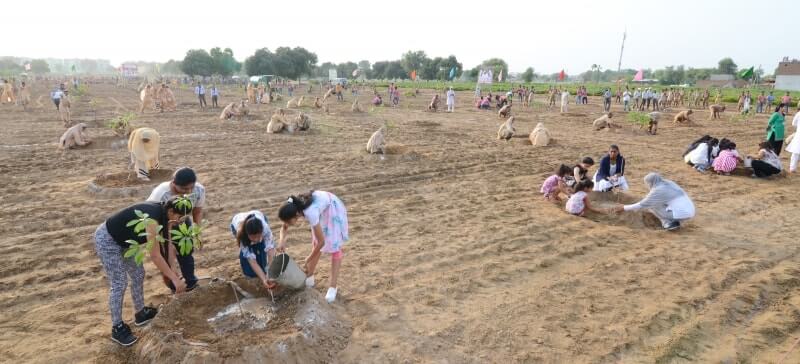 Teams-planting-tree