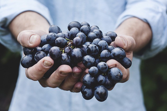 Organic Porduct In Hand