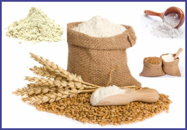 Flour Milling business investment