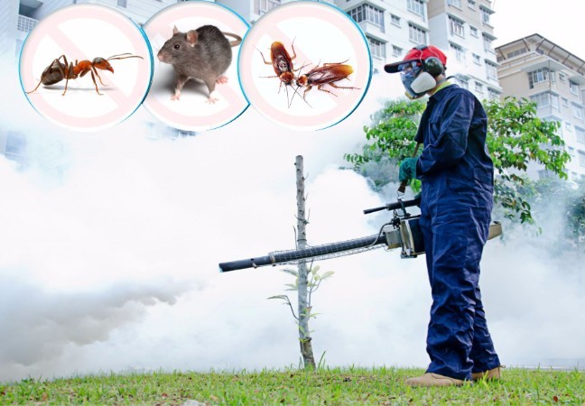 Fumigation Services