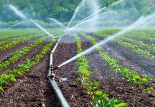 Micro Irrigation, Sprinkler Subsidy haryana