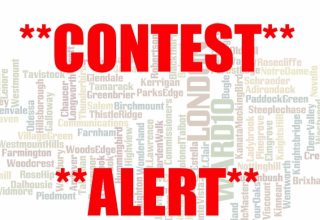 7 binary options scholarship essay contest