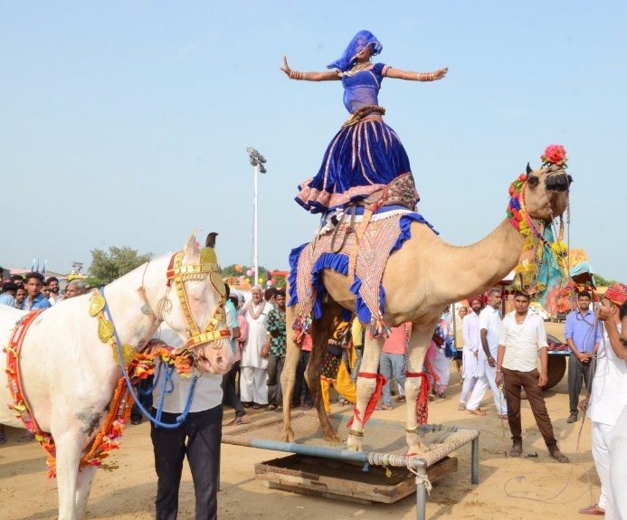 Saint MSG birthday celebration, Indian culture, Dance, Mela, Fair