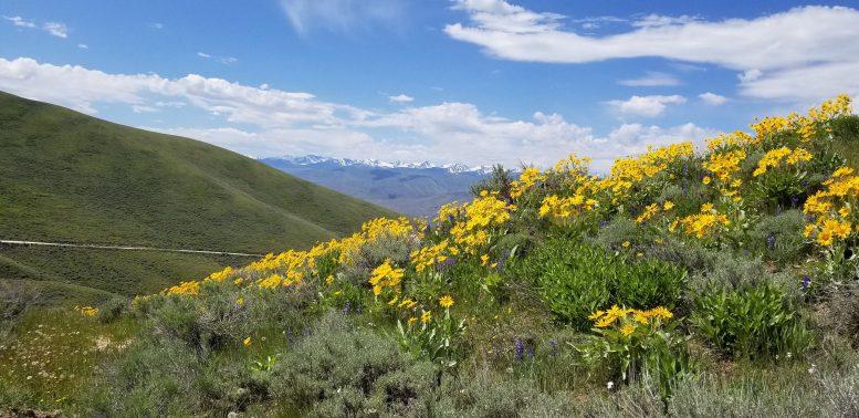 Lemhi Pass, Montana, and Idaho - best road trips in usa