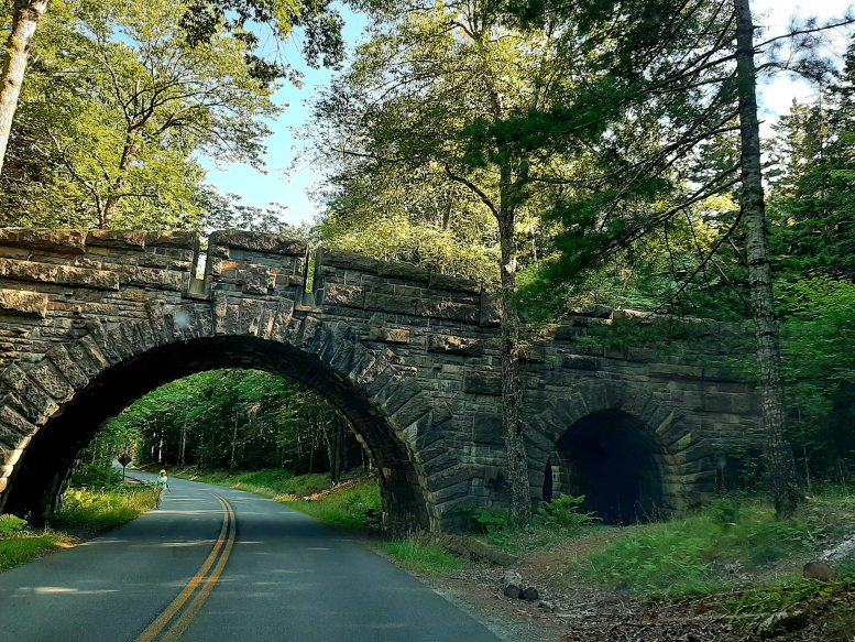 Park Loop Road, Acadia