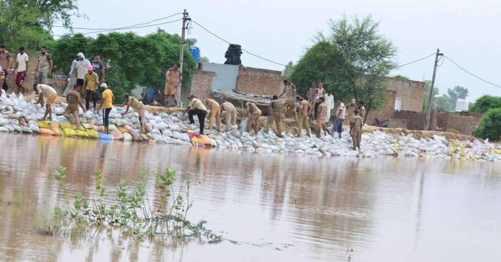 DSS CONTRIBUTION IN FLOOD RELIEF EFFORTS